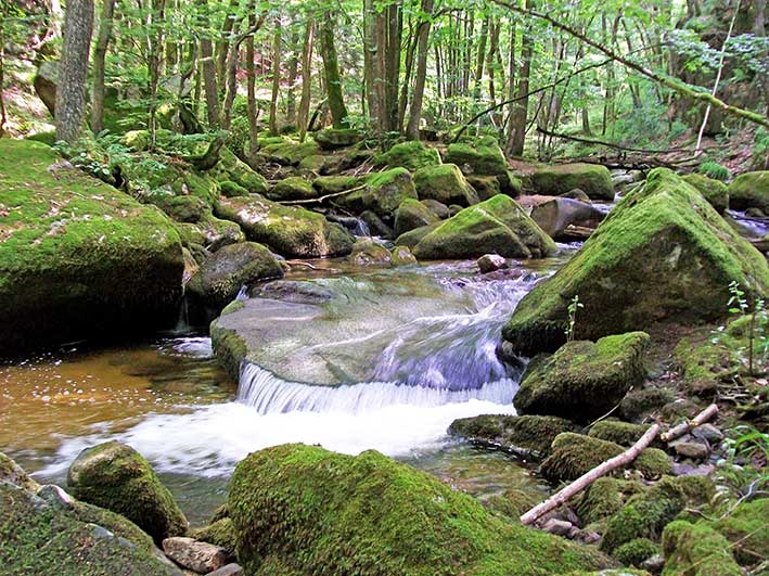 Photo de la rivière la Credogne à Saint-Victor-Montvianeix