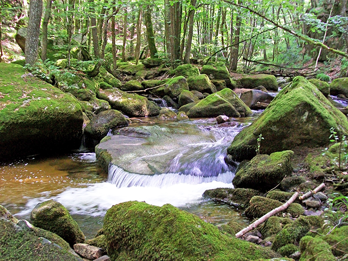 Rivière La Credogne à Saint-Victor-Montvianeix